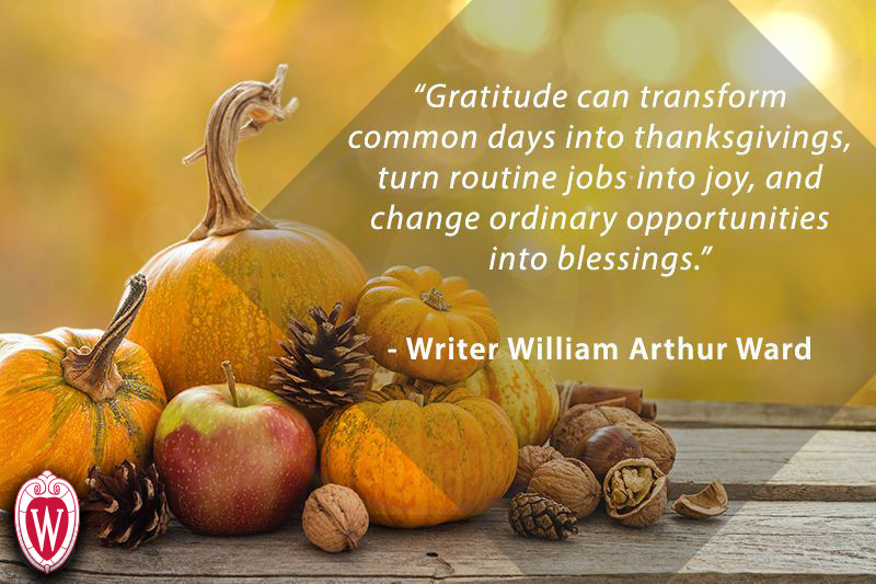 Quote #3:‌ Cultivating Gratitude⁤ for the Present Moment