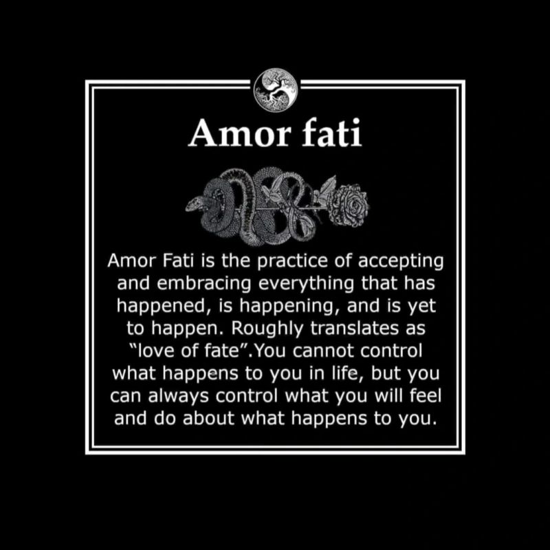 Amor fati 
Amor Fati is the practice of accepting and embracing everything that has happened, is happening, and is yet to happen. Roughly translates as "love of fate". You cannot control what happens to you in life, but you can always control what you will feel and do about what happens to you.