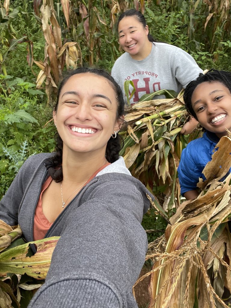 Smiley selfie of students holding bunches of dead corn stalks that they cut down. The students appear to be in the forest of Tanzania, surrounded by greenery and other standing corn stalks.