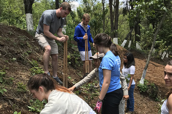 students working and digging holes in the earth