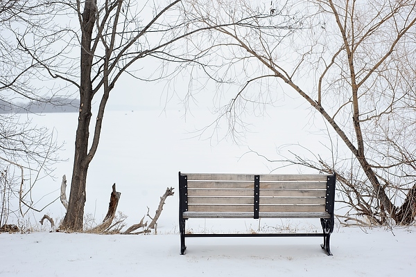 Benches – Lakeshore Nature Preserve – UW–Madison