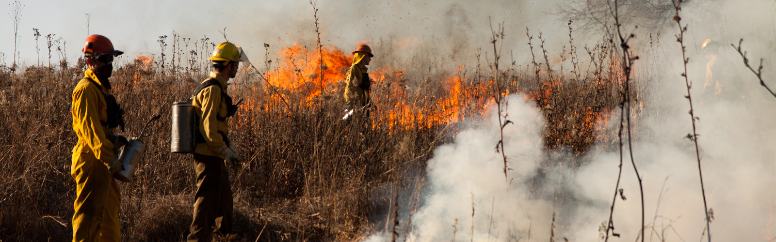 Prescribed fire crew burning Biocore Prairie.