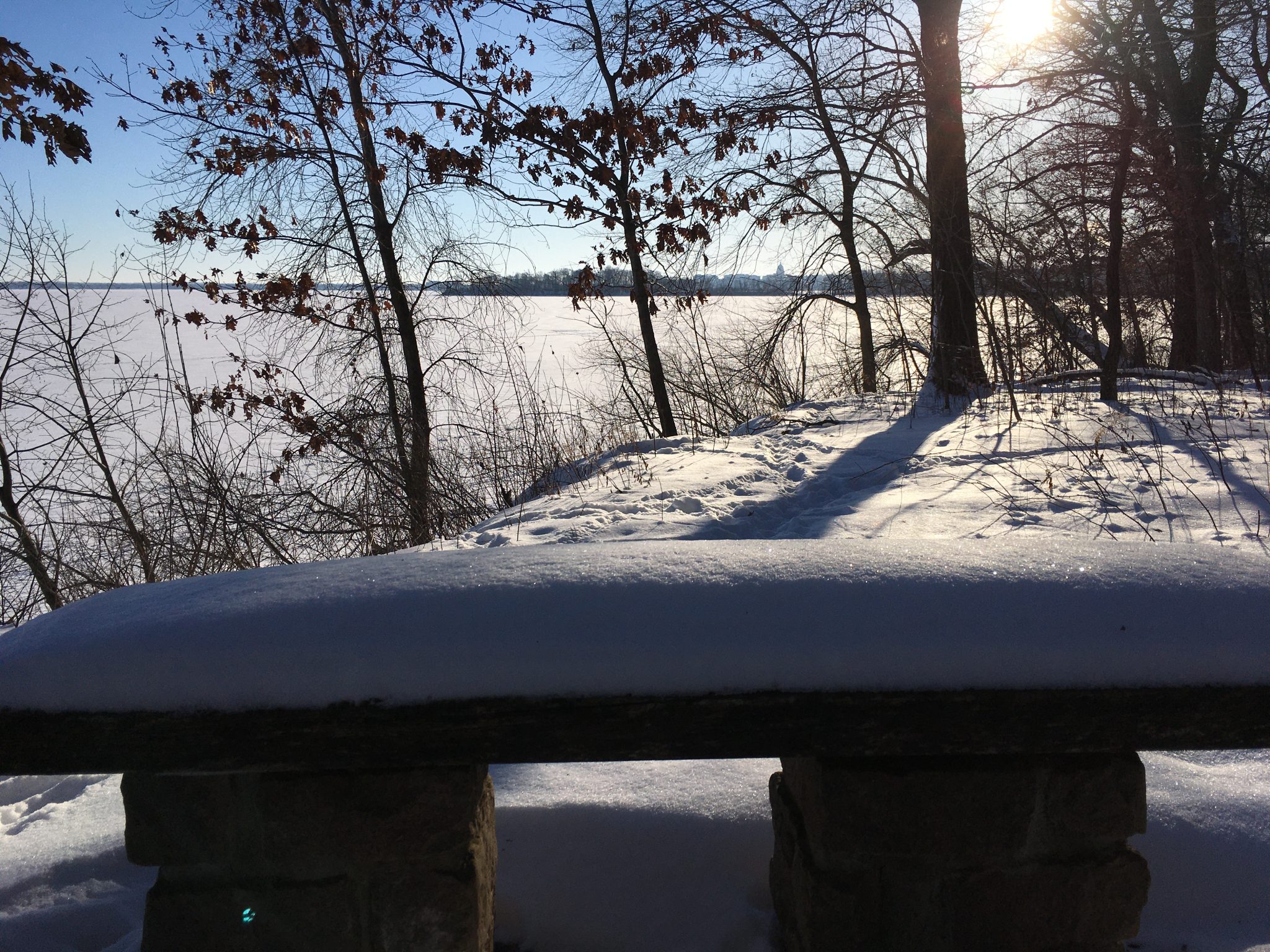 February 2024 Lakeshore Nature Preserve E-Newsletter – Lakeshore Nature ...