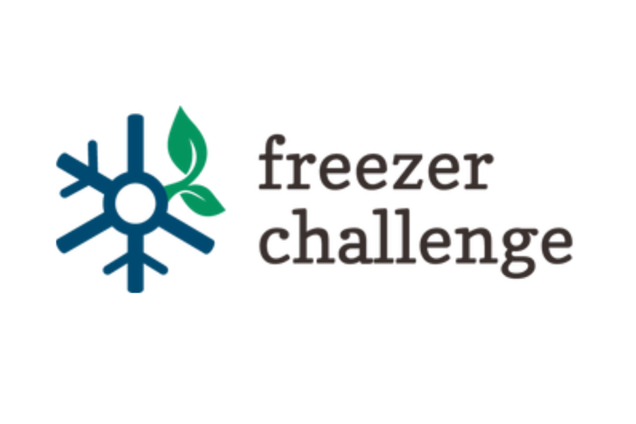 A blue snowflake with two green leaves next to the words "freezer challenge"