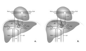 Medical Figure