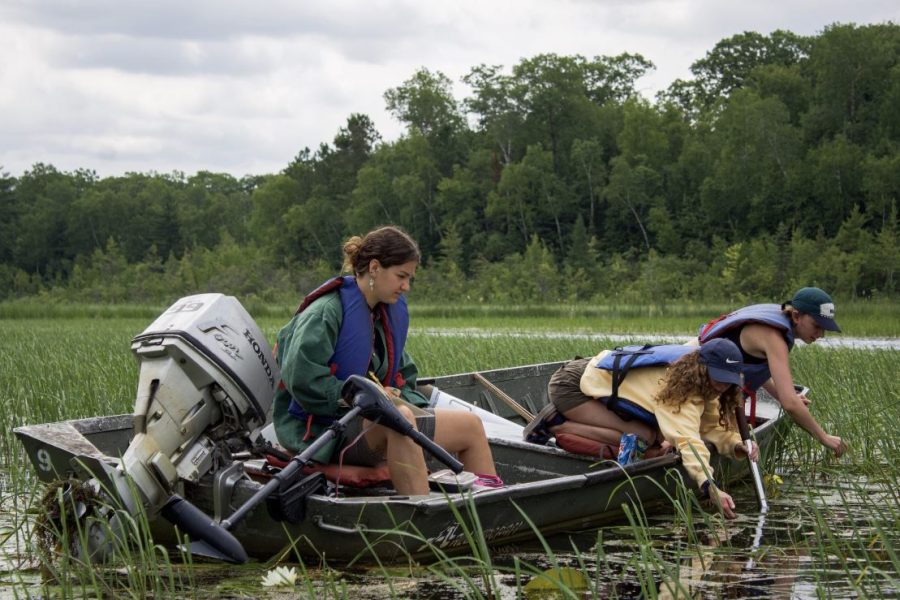 Ally Kundinger, Sagen Quale, and Moira Keith all in a jon boat, leaning over, sampling one of their wild rice plots.