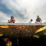 Two students in canoe collecting data in wild rice area on Allequash Lake in Northern WI