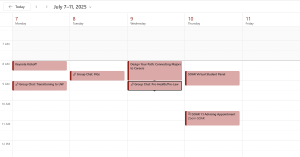 screenshot of a Virtual Advising week schedule in outlook calendar with Thursday advising appointment