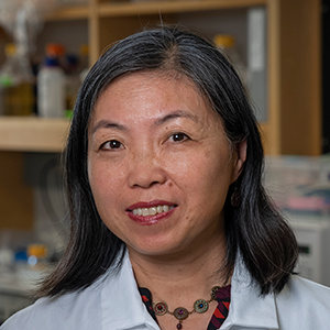 Xinyu Zhao, PhD