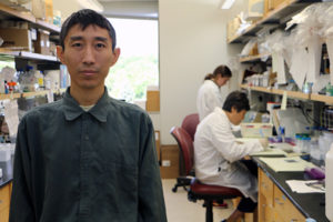 Qiang Chang