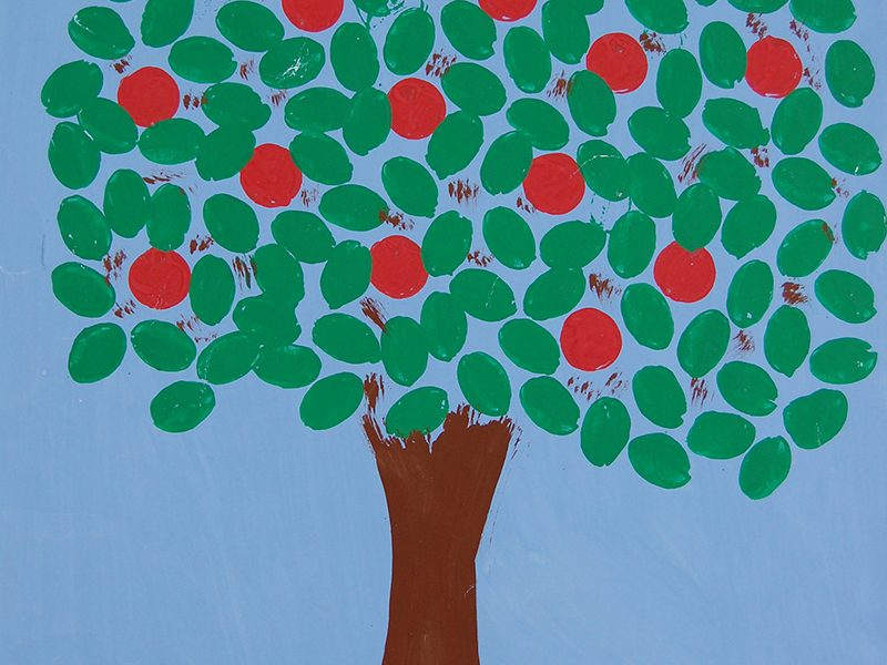 Orange Tree