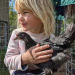 Felix Benton with chicken