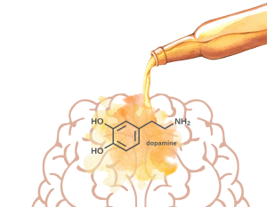 Illustration showing alcohol being poured onto a brain. 