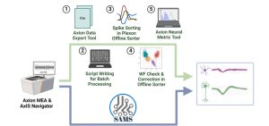 Top: Pipeline for spike sorting involving multiple software tools and manual steps. Bottom: Pipeline for spike sorting using SAMS