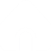 Home button